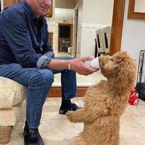 Meet your Posher, Maggie